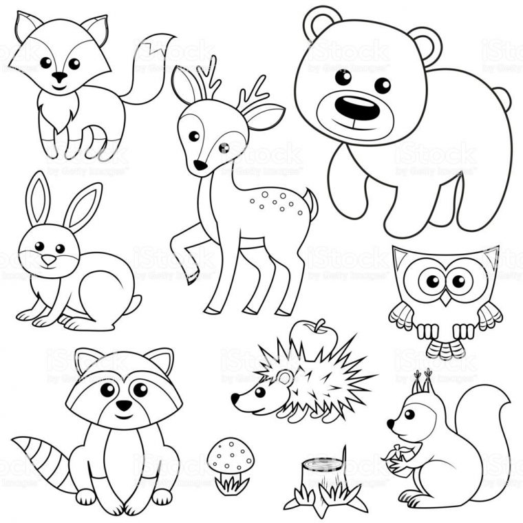 New 14 Coloriage Animaux De La Foret  Animal Coloring Books, Animal à Coloriage De Foret A Imprimer