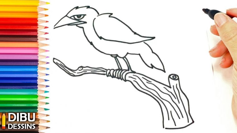 Nouveau Pour Rigolo Dessin Oiseau Facile A Faire – Cuandono Haysalida avec Coloriage De Corbeau