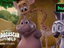 Official Hulu Trailer &quot;Madagascar: A Little Wild&quot; Season 3 [Video serapportantà Morty Madagascar