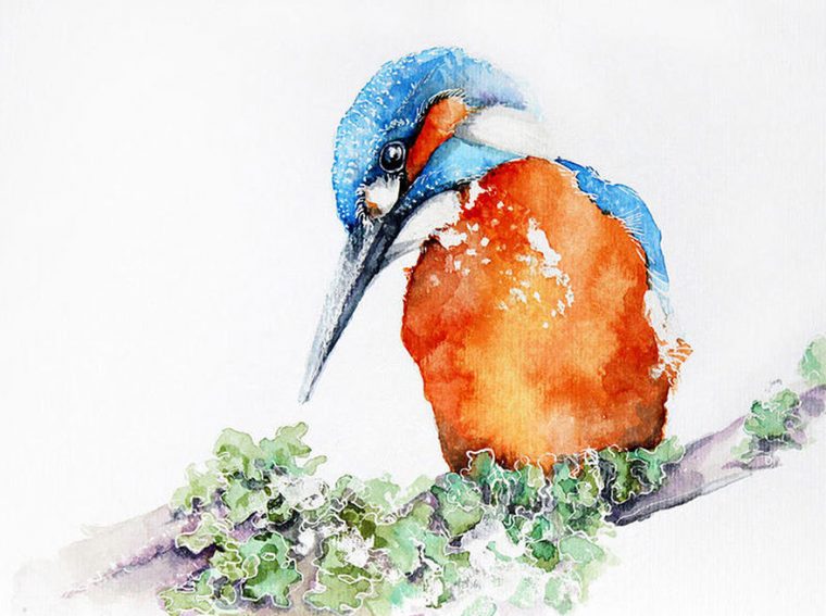 Oiseau Aquarelle concernant Oiseau Dessin