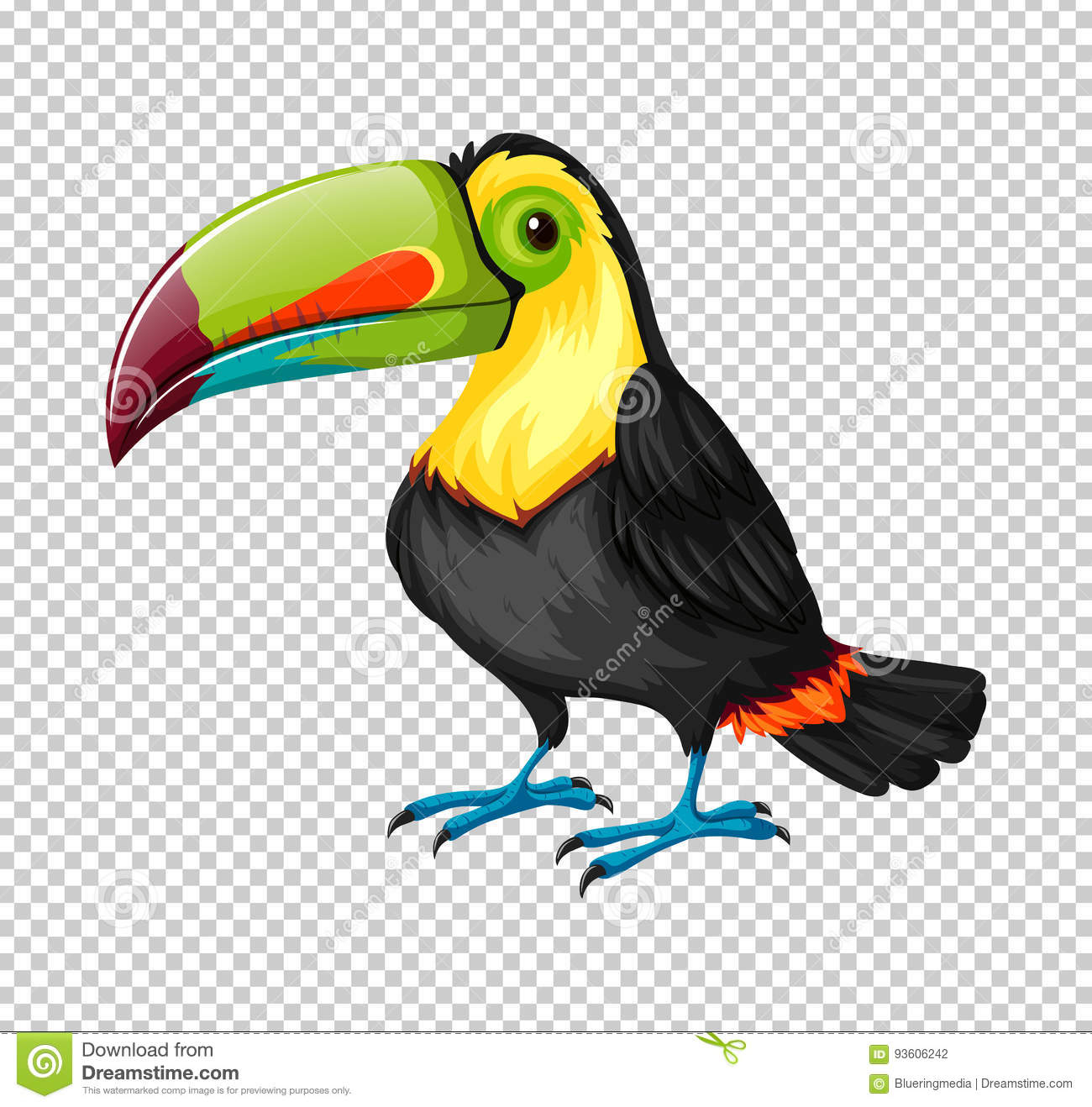 Oiseau De Toucan Sur Le Fond Transparent Illustration De Vecteur avec Dessin Toucan 