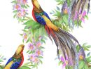 Oiseaux Sauvages D'Animaux De Faisan Dans Le Modèle Sans Couture Floral encequiconcerne Dessin Faisan
