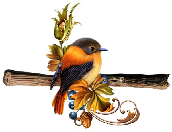 Oiseaux,Birds,Dessin,Png,Couleur  Birds, Bird, Animals serapportantà Dessins D Oiseaux 