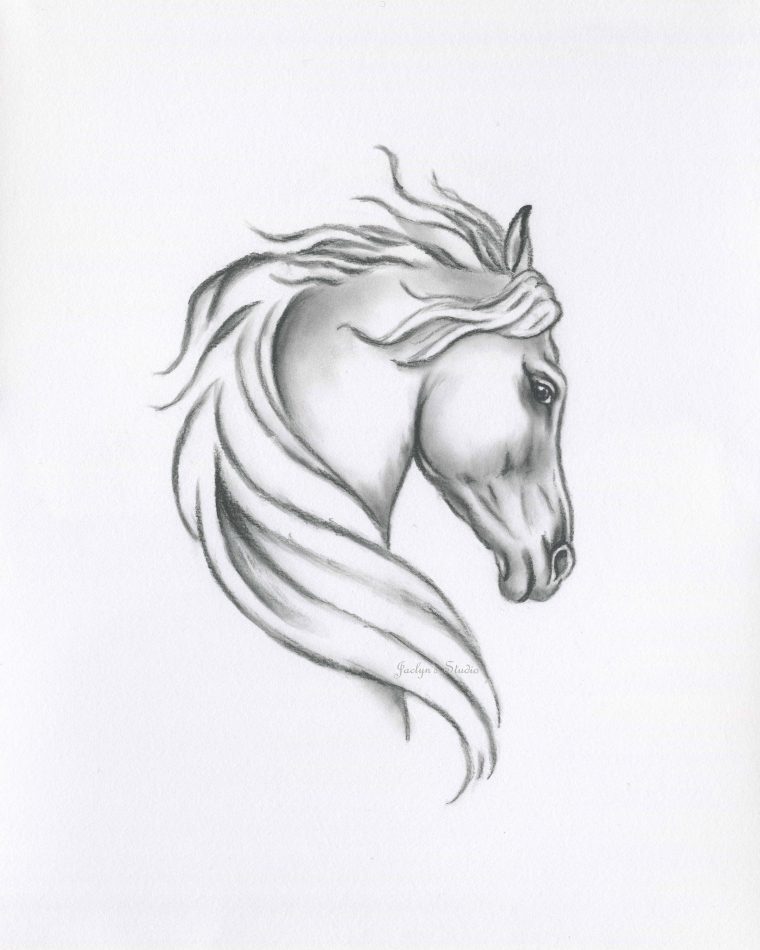 Original Horse Sketch Charcoal Horse Drawing  Etsy intérieur Cheval Dessin Simple