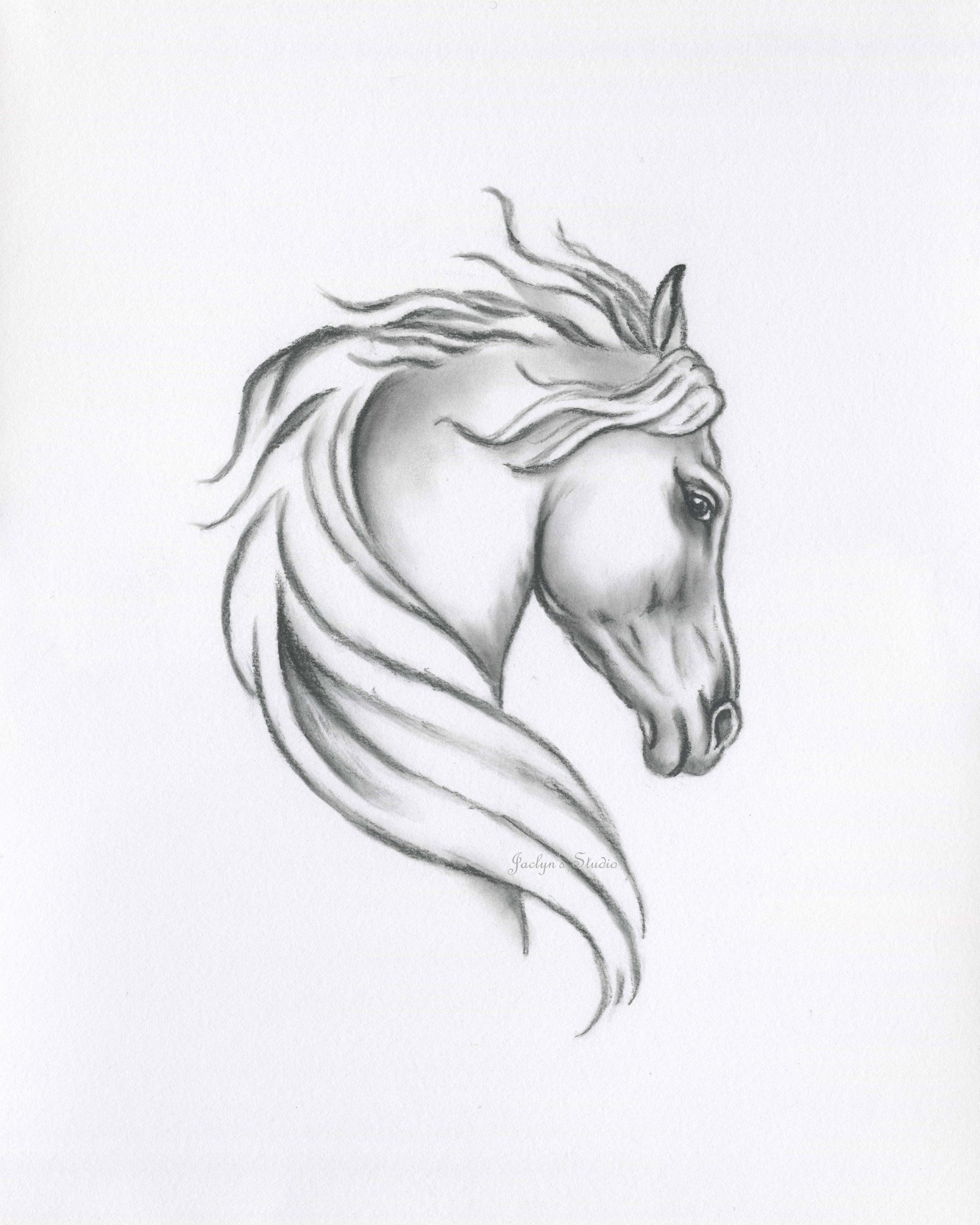 Original Horse Sketch Charcoal Horse Drawing  Etsy intérieur Cheval Dessin Simple 