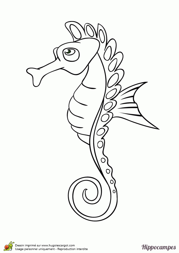 , Page 11 Sur 12 Sur Hugolescargot  Coloriage Hippocampe tout Coloriage Sur La Mer À Imprimer