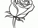 , Page 153 Sur 188 Sur Hugolescargot  Coloriage, Dessin Rose destiné Une Rose En Dessin