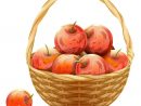 Panier Avec Icône De Pommes, Style Dessin Animé — Image Vectorielle avec Panier De Fruits Dessin