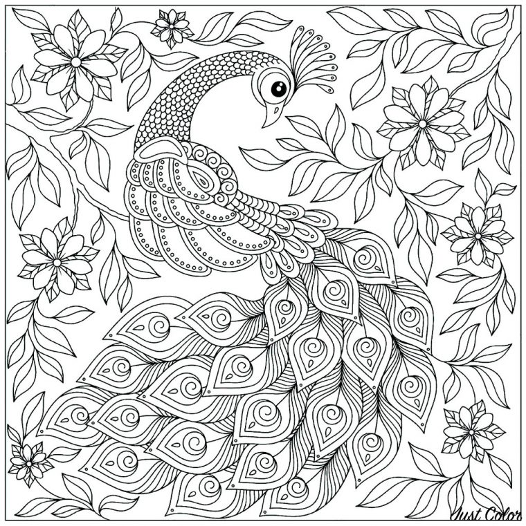 Paon Entier – Paons – Coloriages Difficiles Pour Adultes destiné Coloriage Adulte A Imprimer