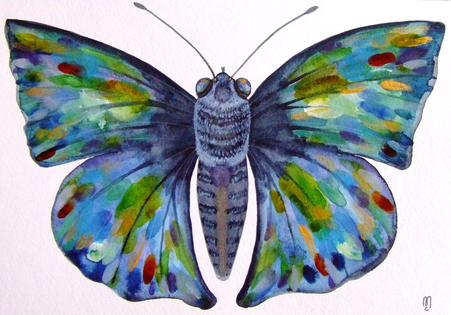 Papillon Peinture Aquarelle Encre Insecte Animal Nature Dessin encequiconcerne Dessin Papillon