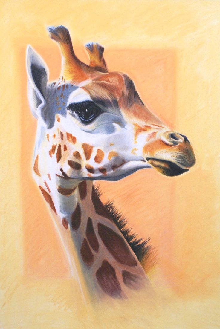 Peignez La Girafe ! 2014 - Pastel Sec - 75 X 55 - 300€  Artist dedans Dessin Girafe 