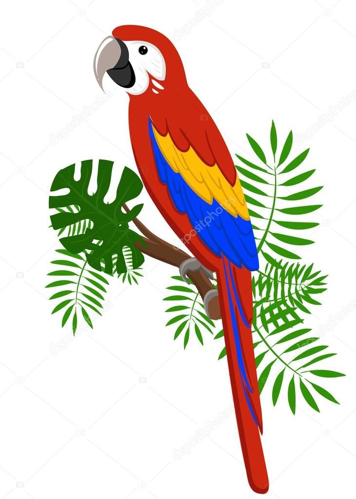 Perroquet Dessin Oiseaux - Lilo  Parrots Art, Bird Drawings, Bird Art tout Dessins D Oiseaux 