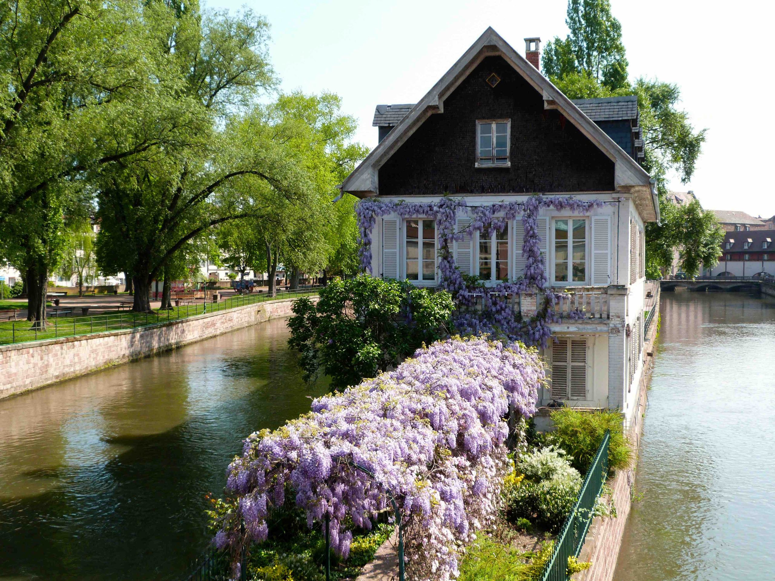 Petite France - La Maison Aux Glycines : Petite France : Centre pour Le Petit Ours Strasbourg 