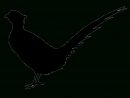 Pheasant Silhouette - Pheasant Feathers Png Download - 1200*900 - Free avec Dessin Faisan