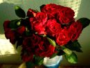 Photo Gratuite: Rose Rouge, Bouquet, Fleur - Image Gratuite Sur Pixabay tout Image Rose Rouge Gratuite