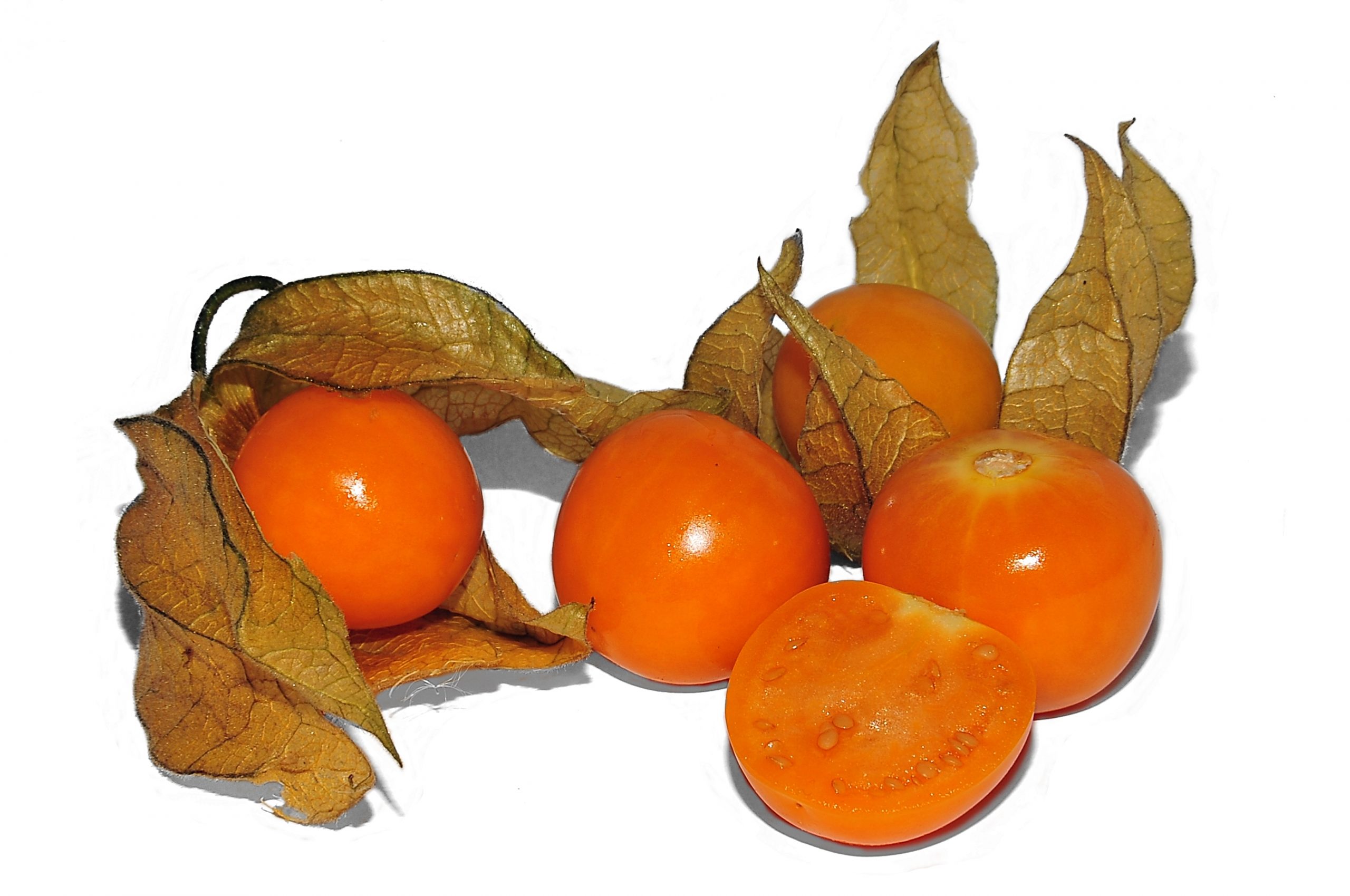 Physalis Fruit Grown In Bushehr  Financial Tribune serapportantà Fruits Oranges 