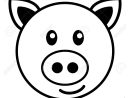 Pig Drawing Images At Getdrawings  Free For Personal Use Pig dedans Dessin Tete De Cochon
