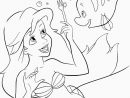 Pin By Amandine Bissessur On Disney Coloring Pages  Mermaid Coloring avec Coloriage D Ariel