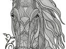 Pin By Nina Bondesson On Coloring Pages  Horse Coloring Pages, Mandala intérieur Mandala Cheval