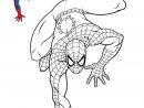 Pin By Samira Ahmed On Dessins  Spiderman Coloring, Avengers Coloring destiné Dessin De Spiderman