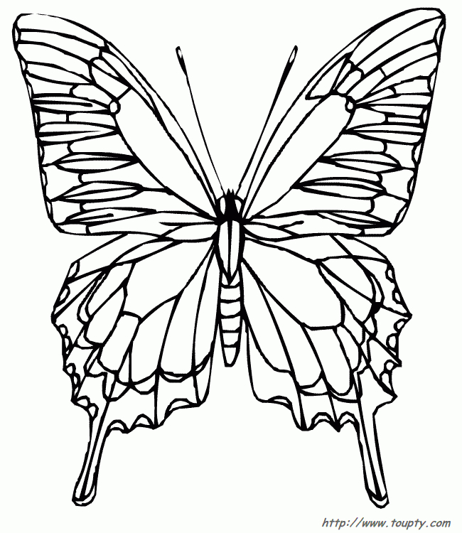 Pin On A Imprimer: Papillons tout Dessin Papillon Facile