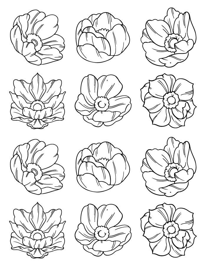Pin On Coloriage Fleurs Et Plantes - Flowers And Plant Colouring Pages concernant Coloriage Fleurs 