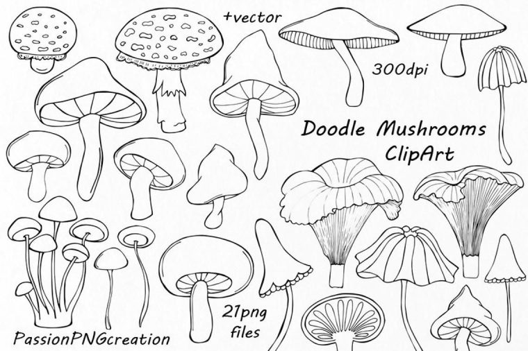 Pin On Dessins serapportantà Champignon Coloriage