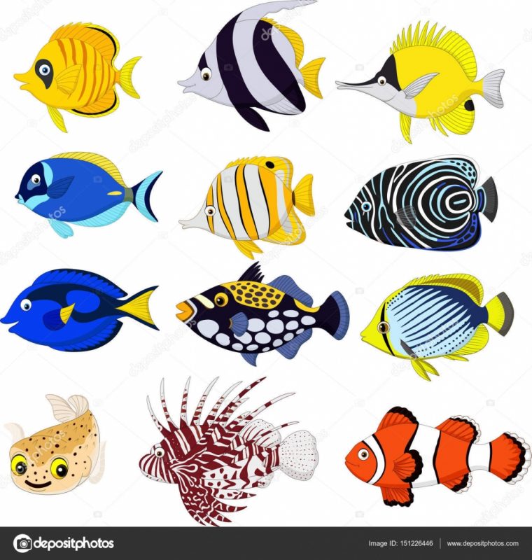 Poisson Ensemble. Illustration Vectorielle De La Vie Marine Dans Le pour Poisson Dessins