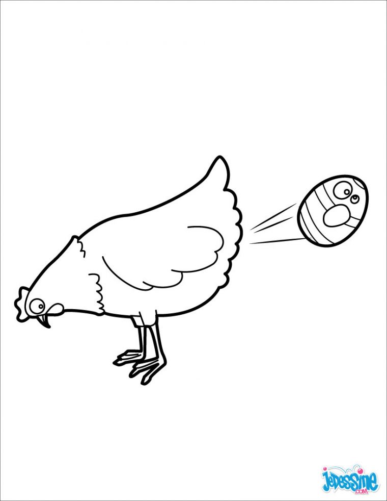 Poule Pondeuse Dessin tout Dessin De Poules