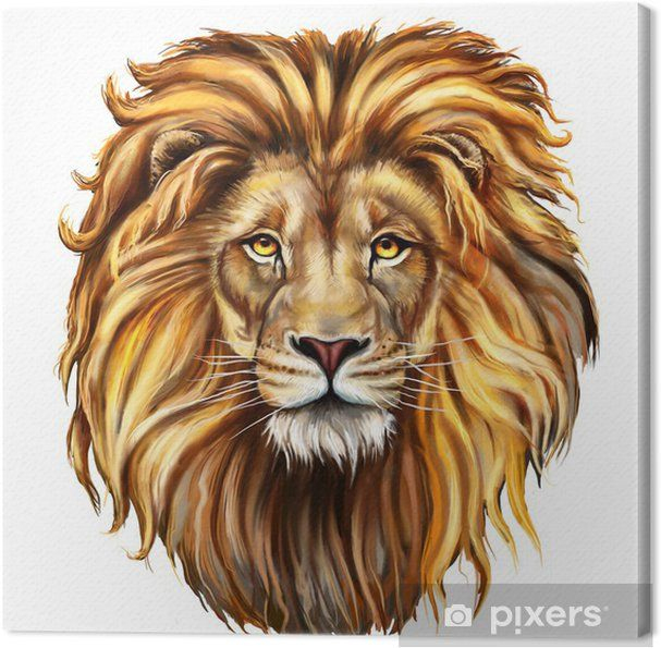 Quadro Em Tela Lion Head In Front • Pixers® - Vivemos Para Mudar  Tete avec Dessins De Lion 