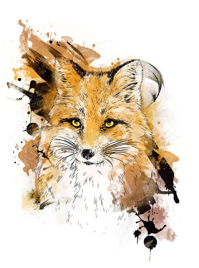 Renard Dessin Graphique Illustration De Graphique Couleur Illustration tout Renard Dessin 