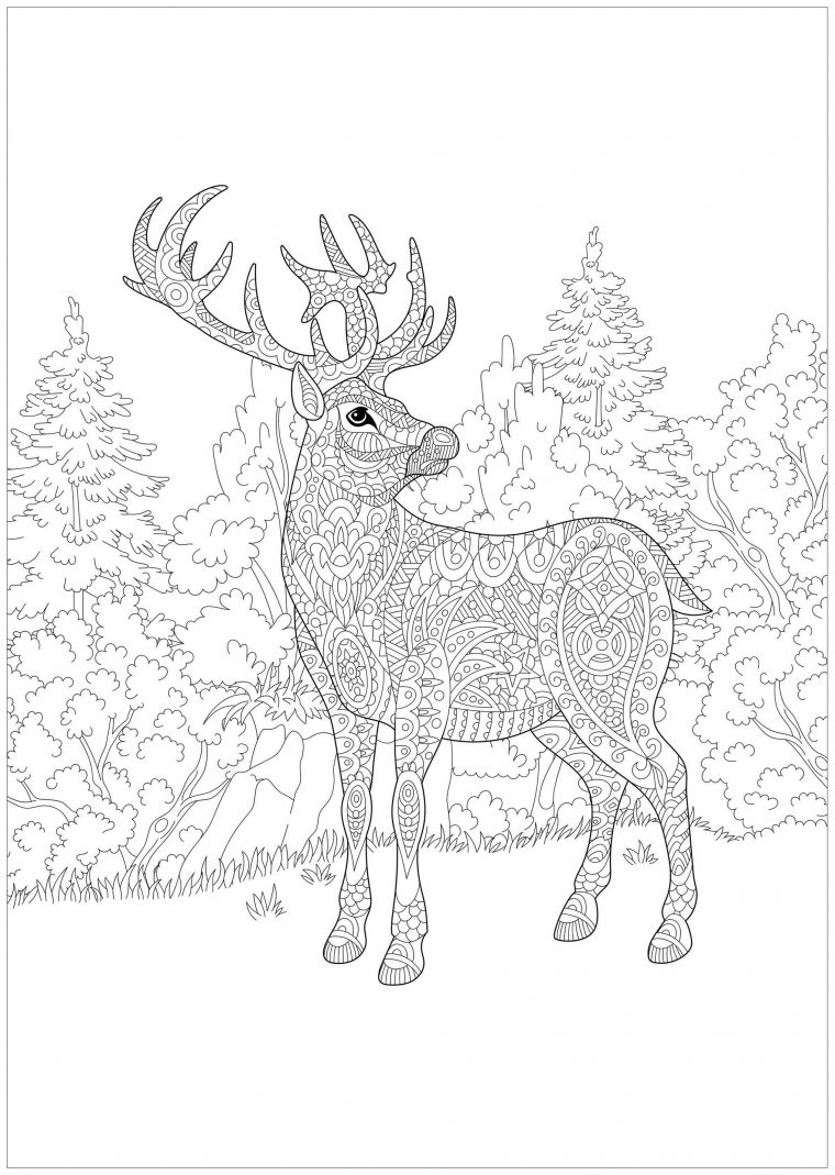 Renne De Noël – Noël – Coloriages Difficiles Pour Adultes intérieur Coloriage De Noël