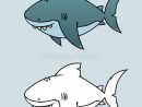 Requin Blanc Grand Illustration De Vecteur. Illustration Du Dessin dedans Dessin Requin Blanc