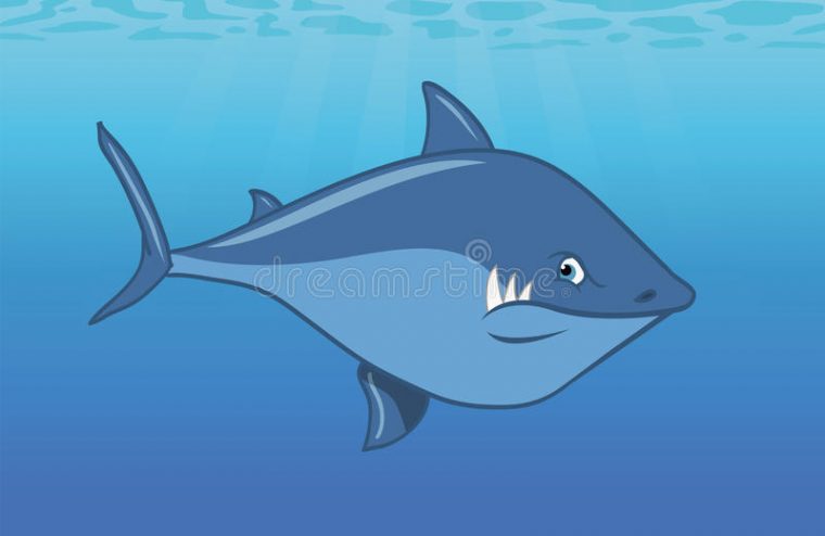 Requin Blanc Grand Illustration De Vecteur. Illustration Du Grand serapportantà Dessin Requin Blanc