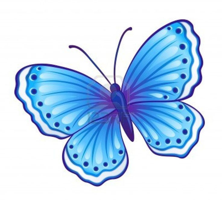 Résultat De Recherche D'Images Pour &quot;Dessin Papillon Couleur concernant Photo De Papillon A Imprimer
