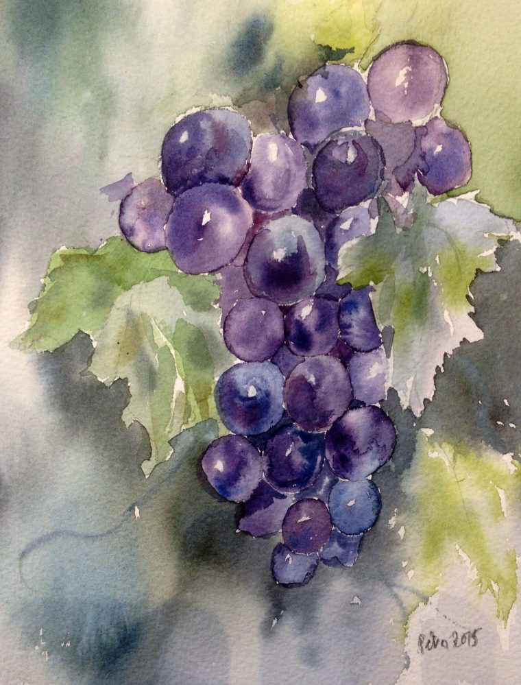 Résultat De Recherche D'Images Pour "Grappe Raisin Aquarelle serapportantà Dessin De Raisin