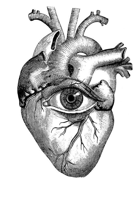 Résultats De Recherche D&amp;#039;Images Pour « Vrai Coeur Humain Dessin serapportantà Desin De Coeur 