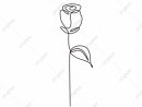 Rose Dessin Au Trait Continu Vecteur Fleur Plante Minimaliste Dessiné À intérieur Une Rose En Dessin