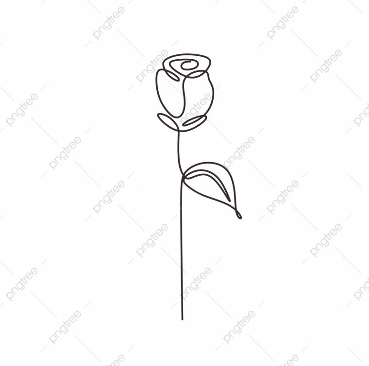 Rose Dessin Au Trait Continu Vecteur Fleur Plante Minimaliste Dessiné À intérieur Une Rose En Dessin