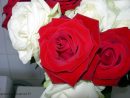 Rose Rouge Image Gratuite - Photo De Fleur : Une Pensee Fleuriste à Image Rose Rouge Gratuite