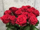 Rose Rouge - Presqu'Île Fleurs concernant Fleur Rose Videos