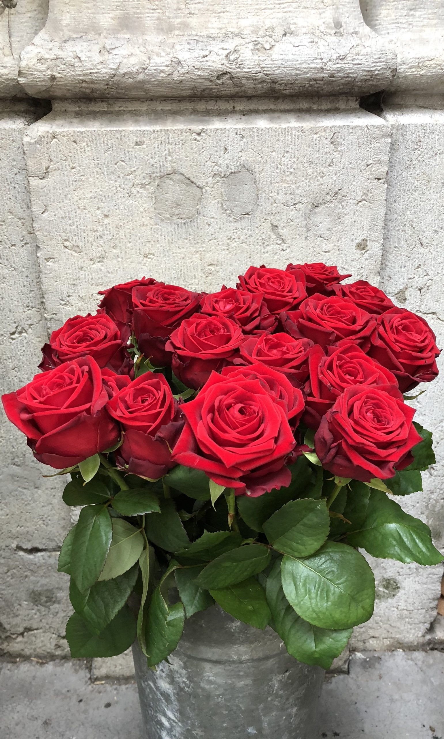 Rose Rouge - Presqu&amp;#039;Île Fleurs concernant Fleur Rose Videos 