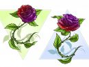 Roses De Dessin Animé Détaillé Graphique Avec Ensemble De Tige tout Une Rose En Dessin