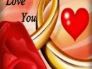 Search - Google+  Amour Gif, Belles Photos D'Amour, Image Coeur Amour à Coeur D Amour Image