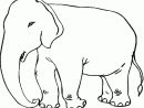 Sélection De Coloriage Éléphant À Imprimer Sur Laguerche - Page 3 tout Éléphant À Colorier
