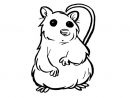 Sélection De Coloriage Hamster À Imprimer Sur Laguerche - Page 1 pour Coloriage De Hamster A Imprimer