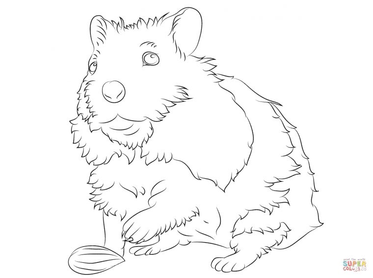 Sélection De Coloriage Hamster À Imprimer Sur Laguerche – Page 3 serapportantà Coloriage De Hamster A Imprimer