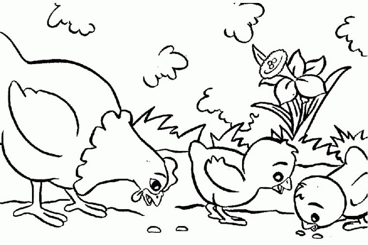 Sélection De Coloriage Poule À Imprimer Sur Laguerche – Page 1 intérieur Coloriage Poule