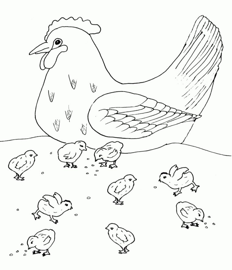 Sélection De Coloriage Poule À Imprimer Sur Laguerche – Page 3 encequiconcerne Dessin De Poules