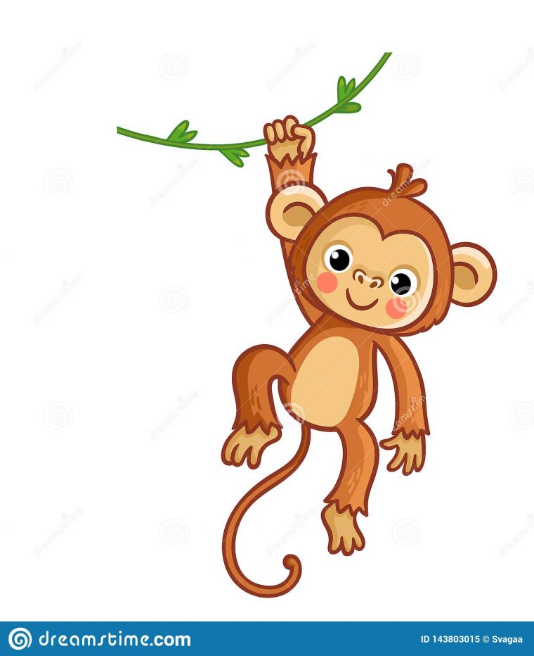 Singe Accrochant Sur La Liane Illustration De Vecteur Animal Mignon tout Dessin De Singe En Couleur